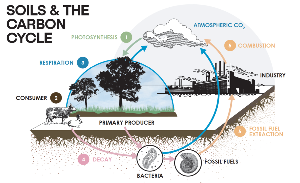 Regenerative Agriculture